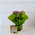 Vaso Kalanchoe Rosa com Chocolate - Imagem 1