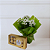 Vaso Kalanchoe Branca com Chocolate - Imagem 2
