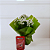 Vaso Kalanchoe Branca com Chocolate - Imagem 3
