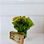 Vaso Kalanchoe Amarela com Chocolate - Imagem 2