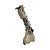Canaleta Guia Jeep Renegade T270 2022 Dianteira Esquerda - Imagem 4