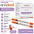 SERINGA INSULINA 1ML 12,7X0,33 29G C/AG - CX/100 - UNIQMED - Imagem 4