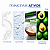 B12 SKINCARE INTENSIVAO CREME FACIAL 30G SAVE THE SKIN - Imagem 3