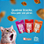 Kit 10un Petisco Quatree Snack Bola De Pelo Gato Frango 60g - Imagem 2