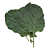 FELTRIN Sementes De Couve De Folha Manteiga 1G - Imagem 4
