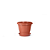 Vasos Terracota N2 Para Plantas Flores Jardim Hortaliças - Imagem 2