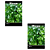 KIT 2 PCTS SEMENTE FELTRIN SALSA LISA 900G - Imagem 1