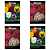 KIT 4 UN DE SEMENTES DE PLANTAS ORNAMENTAIS FELTRIN - Imagem 3