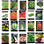 KIT 20 UN SEMENTES DE HORTALIÇAS FELTRIN - Imagem 2