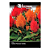 FELTRIN SEMENTE CELOSIA PLUMOSA SORTIDA 1PCT 400MG - Imagem 1