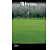 FELTRIN SEMENTE GRAMA BERMUDA 1PCT 3G - Imagem 4
