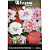 FELTRIN SEMENTE CRAVINA DOBRADA SORTIDA HEDDEW 1PCT 200MG - Imagem 2