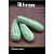 FELTRIN SEMENTE ABOBRINHA CASERTA ITALIANA 1PCT 8G - Imagem 4