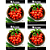 FELTRIN KIT SEMENTE TOMATE CAROLINA  100MG 4UN - Imagem 1