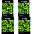 FELTRIN KIT SEMENTE HORTELA OU MENTA PIPERITA 100MG 4UN - Imagem 1