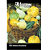 FELTRIN SEMENTE ABOBORA MINI DECORATIVAS  1,5G 1UN - Imagem 2