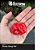 FELTRIN SEMENTE PIMENTA MORUGA RED 1G 1UN - Imagem 3