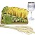 Kit Arranjo Santa Ceia Bandeja Retangular Lapidada Uva Pão Taça 290ml Trigo - Imagem 1