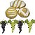 Kit Arranjo 3 Pães Médios 4 Uvas 24cm Para Decoração - Imagem 1