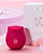 Sugador de Clitóris em Soft Touch Rose, 10 Intensidades, Carregamento USB - Imagem 2