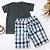 Conjunto Infantil Masculino Camiseta Verde + Bermuda Xadrez - Imagem 4