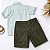 Conjunto Infantil Masculino Camisa Verde + Bermuda Sarja Verde - Imagem 3