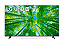 Tv 50P Lg Smart Ai Thinq 4K Comando Voz 50Uq7950psb - Imagem 1