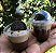 100 Unid Mini Copo 25ml com Tampa Bolha Flip Festas® - Imagem 8