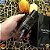 Perfume Maison Alhambra Salvo Intense Eau de Parfum Masculino 100ML - Imagem 3