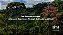 The Richness of Brazil — A Sensory Experience Through Its Woods and Wines - Imagem 1