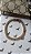 Pulseira Lacraia 6mm - Imagem 1