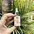 Sérum Facial - Rejuvenescedor - Imagem 4