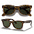 Óculos de Sol Ray Ban Wayfarer Ease RB4340 Tamanho 50 - Imagem 1