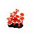 ENFEITE DE SILICONE SOMA CORAL ZOANTHUS PALITHOA LARANJA - Imagem 1