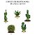 ENFEITE DE RESINA SOMA PLANTA CACTUS 106 - Imagem 1