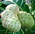 Fruta Noni Suco de Noni com Uva 100% Natural e Integral 3 Litros Envio Hoje - Imagem 7
