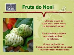 Fruta Noni Medicinal Orgânico 1 Kilo Frutas Resfriadas - Imagem 2