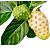 Como Preparar o Noni com Suco de Uva 2 Litros Orgânico e Natural - Imagem 2
