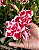 Pop Corn Rosa - Imagem 1