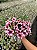 Barbie Perfumada (SEM VM) - Imagem 1