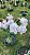 Patricinha - Imagem 1