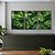 Quadro Folhas Reais - Imagem 1