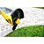 Aparador de grama AGV 1000 1.000W 127V VONDER - Imagem 5