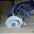 Disco diamantado 110mm CERAMIC LISO 2 608 615 231 BOSCH. - Imagem 7