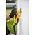 Lixadeira roto-orbital 6" 350W LRV 350B 127V VONDER PLUS - Imagem 13