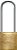 Cadeado haste longa 35,0mm x 50,0mm 0100351CX PAPAIZ - Imagem 1