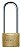 Cadeado haste longa 35,0mm x 70,0mm 0100352CX PAPAIZ - Imagem 1