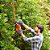 Aparador de cerca viva 220V 420W BEHT201K-B2 BLACK+DECKER - Imagem 3