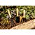 Conjunto para jardim com 3 peças cabo em madeira VONDER - Imagem 8