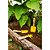 Conjunto para jardim com 3 peças cabos em madeira VONDER - Imagem 5